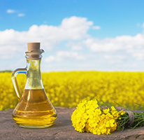 Rapeseed Oil